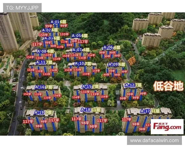 十一选五历史数据深度解析与走势规律全方位研究