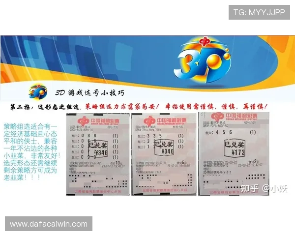 快3投注技巧与选号策略全面解析助你稳健提升中奖概率