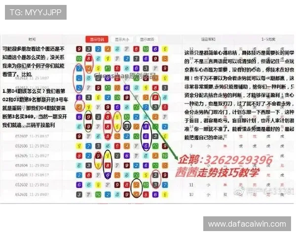 极速飞艇号码分析与技巧探秘助你掌握精准选号秘诀轻松提高中奖概率