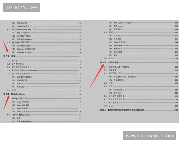 掌握十一选五投注技巧规律与实战经验提升中奖概率的全面指南