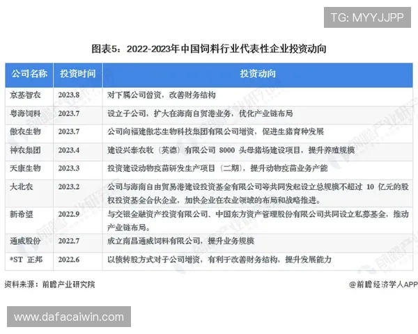 深度梳理十一选五历史发展轨迹与经典玩法变迁全景解析研究报告